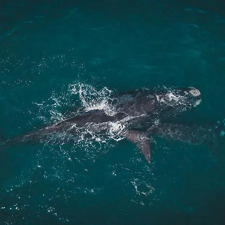 Seabreeze By Top Destinations Rentals Hermanus Buitenkant foto