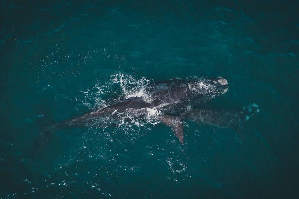 Seabreeze By Destinations *